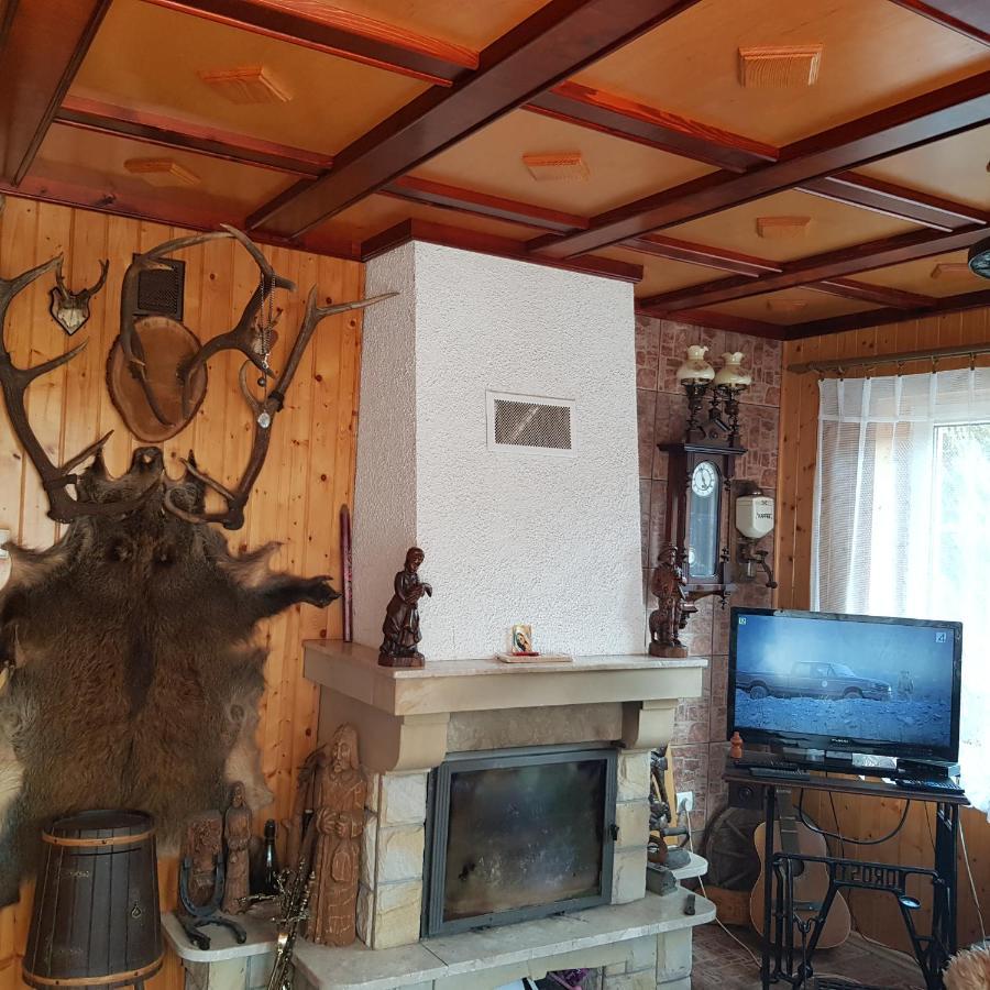 Domek Nad Rzeczka Villa Zabnica Luaran gambar
